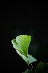 9DBBF6EF-D35B-4ADA-B1B9-685C984DC3AF/L0/001