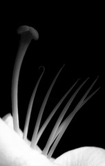 CE5BFA17-2BF7-42B9-8158-ECD9DFD635E7/L0/001
