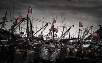“_DSC8369”为智能对象-1