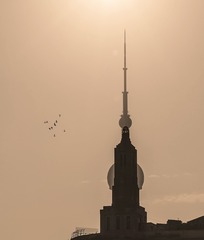 _DSC5068