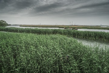 “_DSC1725”为智能对象-2