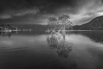 “_DSC4176”为智能对象-1