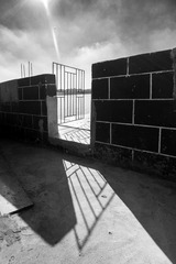 _DSC1650