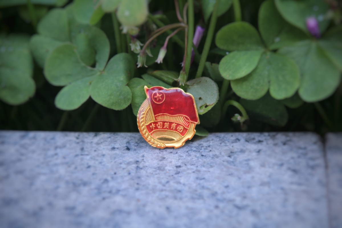 团徽,闪耀着青春的年华……团徽,闪耀着青春的足迹……团徽,闪耀着