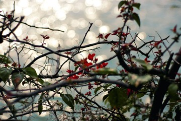 DSC01151（改）.jpg