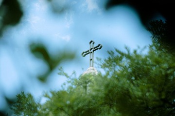 DSC_1177.jpg