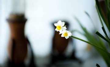 DSC_3293.jpg