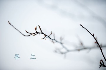 DSC_3496.jpg