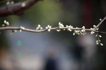 DSC_3520.jpg