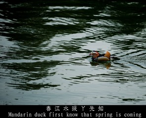 DSC_3591.jpg