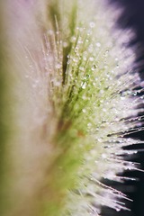 DSC_9928 拷贝