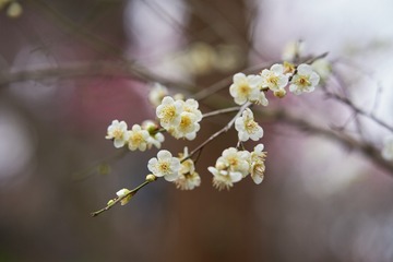 17A655E6-54BF-4ED4-9DB6-0740FE9A603F/L0/001