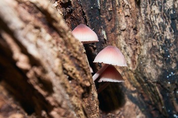 _MG_1084.jpg