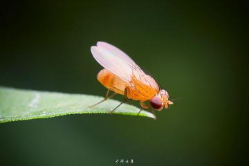 _MG_9945.jpg
