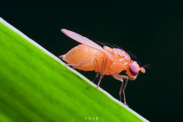 _MG_9977.jpg