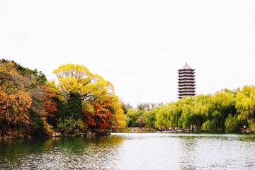 2015-11-26 08.57.57 1