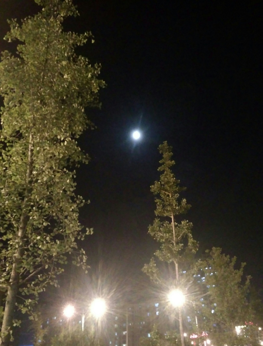 这两天下午都是风雨交加夜来明月高悬难得如此清凉的夏夜