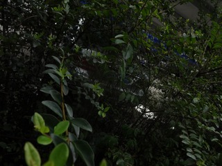 826F5455-F852-4580-94CC-83A395D44CE8/L0/001