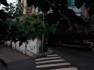 1DEA83D6-F82F-4FE0-870E-7190F0198331/L0/001