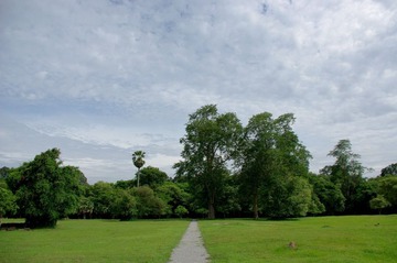 小吴哥一景5