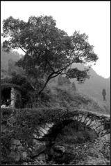 IMGP4311_修.JPG