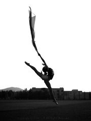 14 BW CF030956 ©