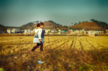 走在乡间的田野上