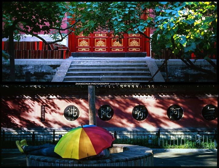 xpan-51