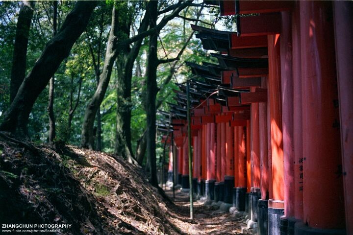 上洛记——奈良、京都<br />
Reala100