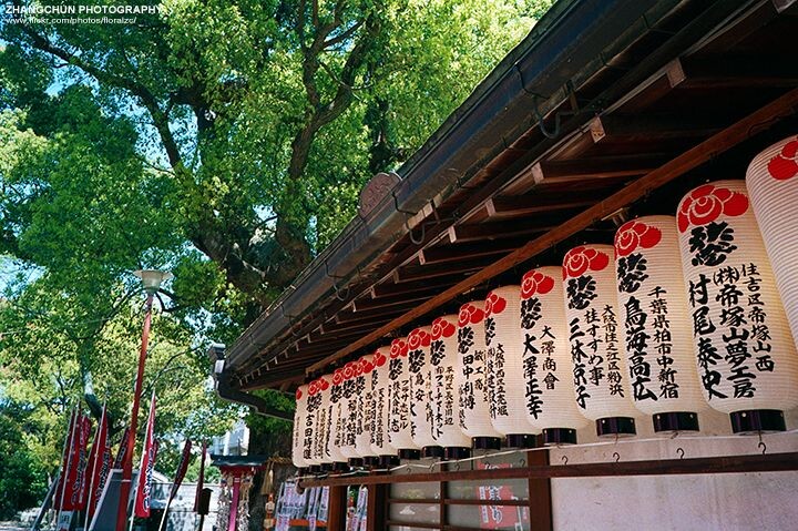 上洛记——奈良、京都<br />
Reala100