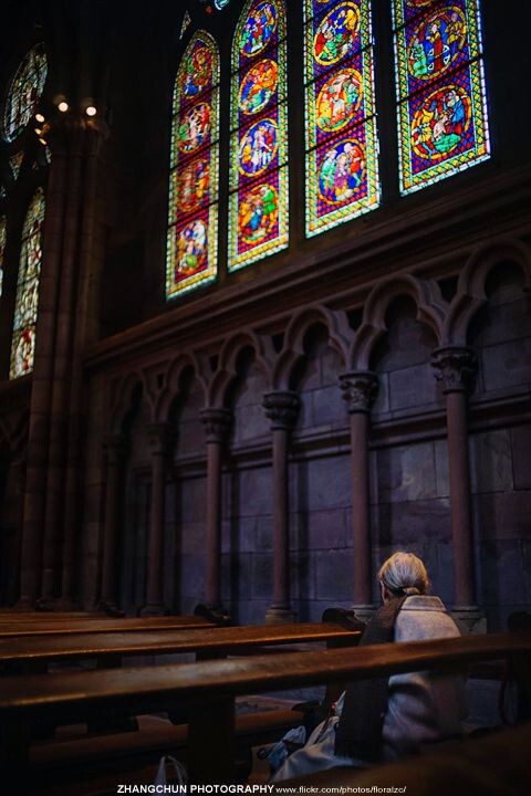 Freiburg im Breisgau,Freiburger Münster 2014.08.03