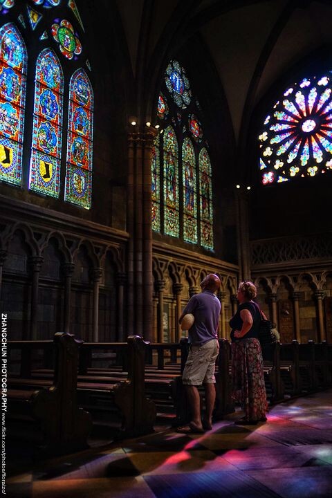Freiburg im Breisgau,Freiburger Münster 2014.08.03
