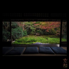 L1004480  拷贝
