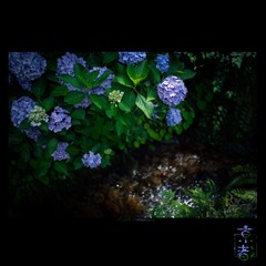 L1000121-s