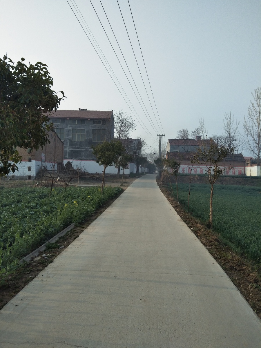 豫东美丽乡村建设