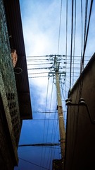 2013-11-11-2951
