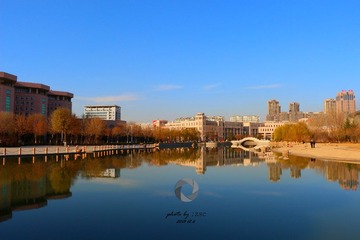 IMG_4248_