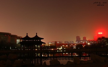 IMG_4445_1