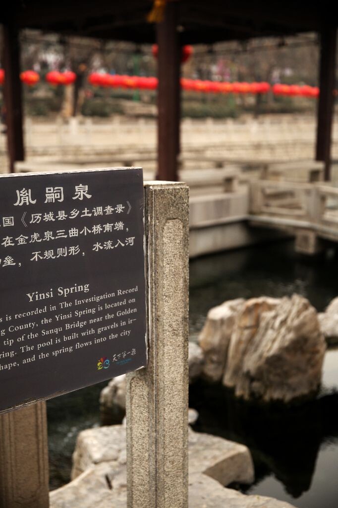 又是随手一拍的小泉