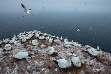 SDIM0341