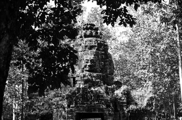 DSC_0254 - 