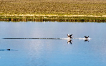 _DSC7121