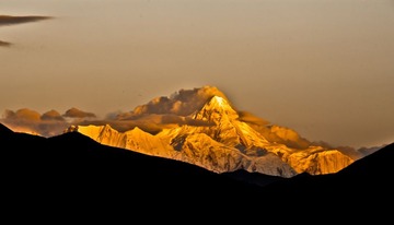 _DSC7390