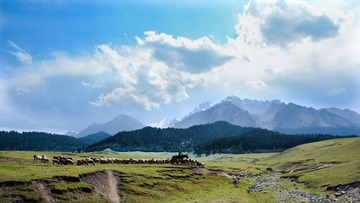DSC_3982-1