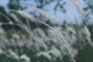 E64B1092-8C30-45A1-9E01-89ED54699296/L0/001