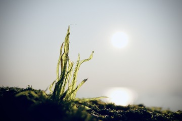 F5FF121E-E9B5-49D3-8F68-A63EFFD7791D/L0/001