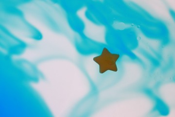 1D251621-4B3C-48FF-B55A-5917F7011C97/L0/001