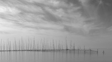 _M7A9786 (1)