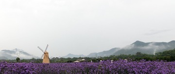 _U9A3598