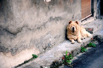 DSC_4695.jpg